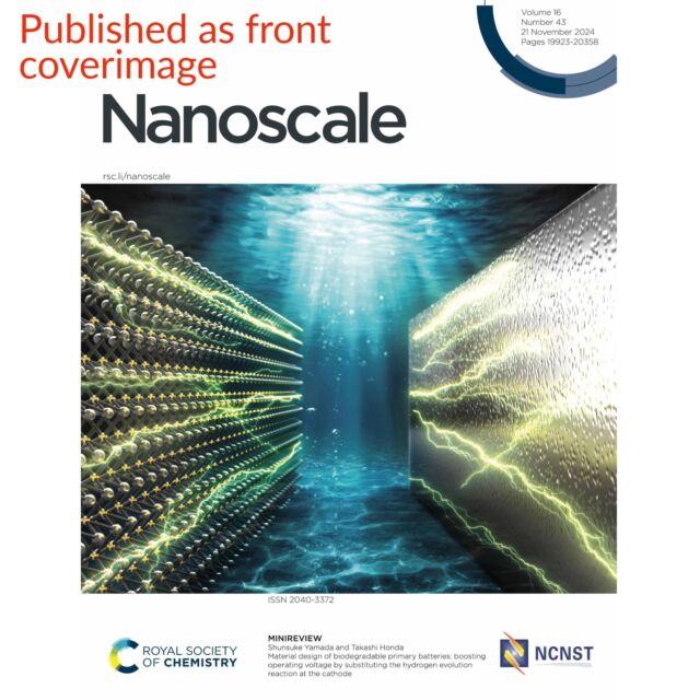 Nanoscale誌表紙を飾りました✨