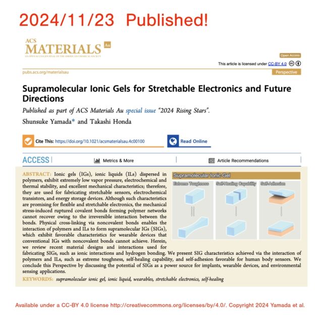 I’m excited to share our perspective is now published in #ACS Materials Au (@ACSPublications)! 🎉
It’s open access—free to read! 😊

👉 Supramolecular Ionic Gels for Stretchable Electronics and Future Directions

Read here: https://pubs.acs.org/doi/10.1021/acsmaterialsau.4c00100